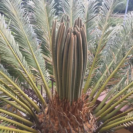 Bb Bahnhof Bertsdorf