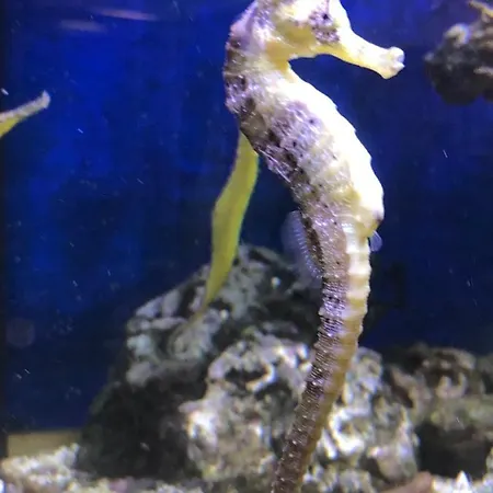 Hotel Bb Bahnhof Bertsdorf