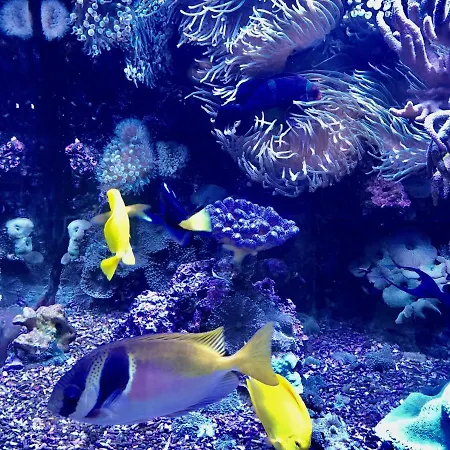 Hotel Bb Bahnhof Bertsdorf Olbersdorf