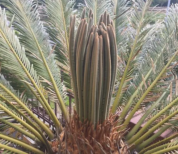 Bb Bahnhof Bertsdorf