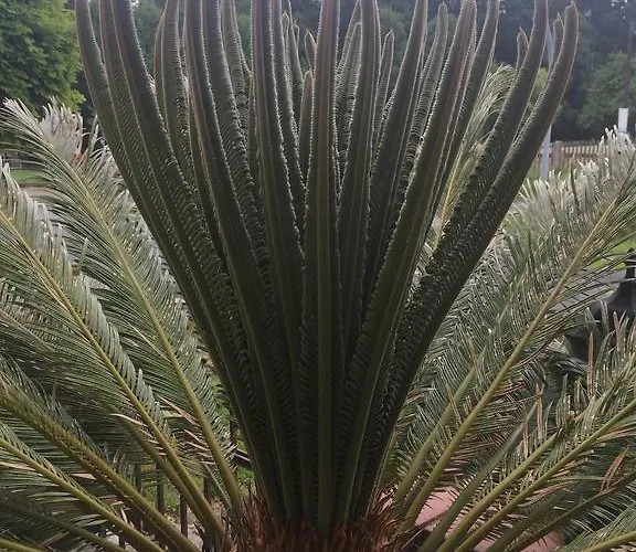 Bb Bahnhof Bertsdorf Hotel 3*