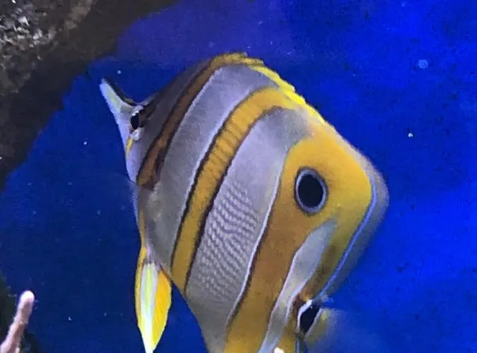 Bb Bahnhof Bertsdorf Szálloda 3*