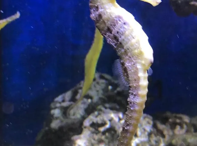 Szálloda Bb Bahnhof Bertsdorf