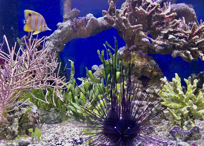 Bb Bahnhof Bertsdorf 3* Olbersdorf