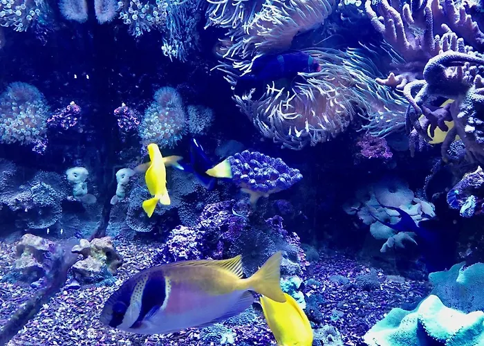 Hotel Bb Bahnhof Bertsdorf Olbersdorf